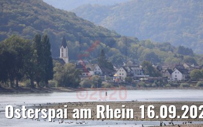 Osterspai am Rhein 16.09.2020