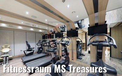 Fitnessraum MS Treasures