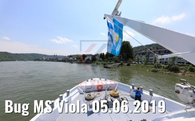 Bug MS Viola 05.06.2019