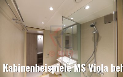 Kabinenbeispiele MS Viola behindertengerecht Bad zwei Türen unteres Deck