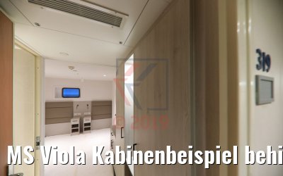 MS Viola Kabinenbeispiel behindertengerecht unteres Deck