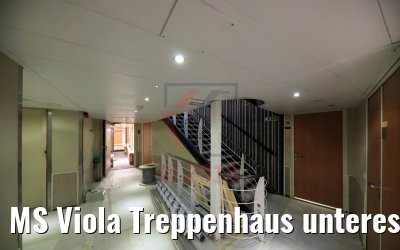 MS Viola Treppenhaus unteres Deck