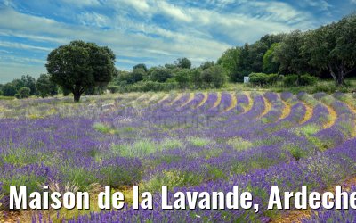 Maison de la Lavande, Ardeche 20.06.2023