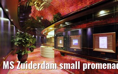 MS Zuiderdam small promenade near Vista Lounge