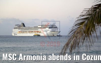 MSC Armonia abends in Cozumel 22.02.2019