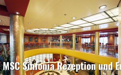 MSC Sinfonia Rezeption und Empfang
