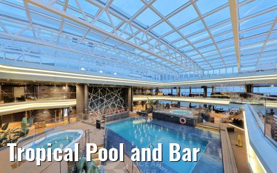 Tropical Pool and Bar