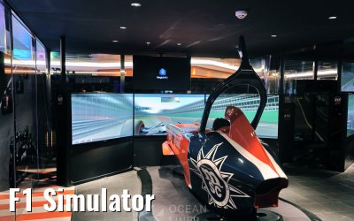 F1 Simulator
