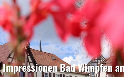 Impressionen Bad Wimpfen am Neckar 05.08.2021