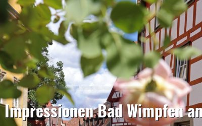 Impressionen Bad Wimpfen am Neckar 05.08.2021