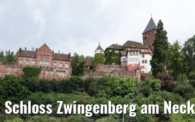 Schloss Zwingenberg am Neckar MS Sans Souci 06.08.2021