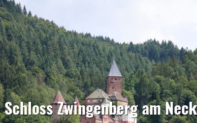 Schloss Zwingenberg am Neckar MS Sans Souci 06.08.2021