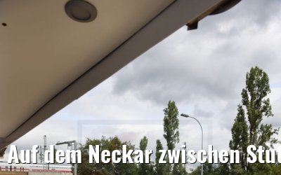 Auf dem Neckar zwischen Stuttgart und Heilbronn 04.08.2021
