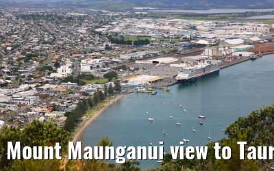 Mount Maunganui view to Tauranga and MS Noordam