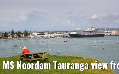 MS Noordam Tauranga view from Mount Maunganui