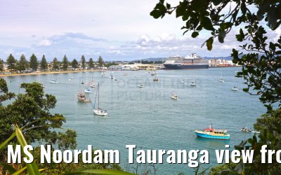 MS Noordam Tauranga view from Mount Maunganui