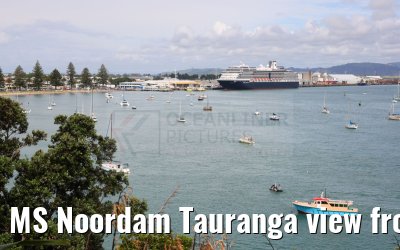 MS Noordam Tauranga view from Mount Maunganui