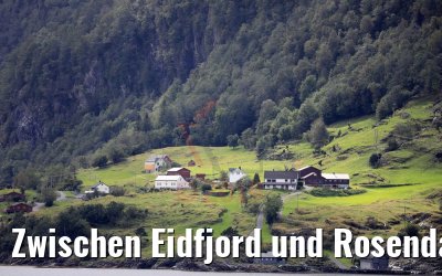 Zwischen Eidfjord und Rosendal MS Amera 29.08.2019