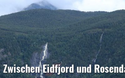 Zwischen Eidfjord und Rosendal MS Amera 29.08.2019