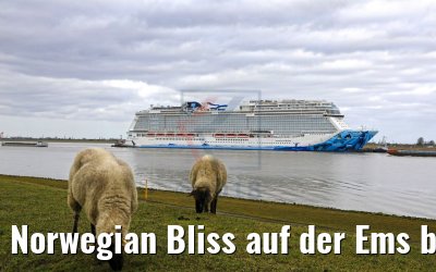Norwegian Bliss auf der Ems bei Ditzum 14.03.2018