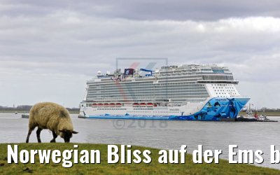 Norwegian Bliss auf der Ems bei Ditzum 14.03.2018