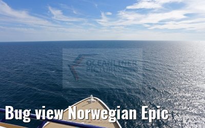 Bug view Norwegian Epic
