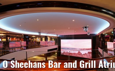 O Sheehans Bar and Grill Atrium