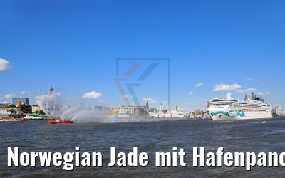 Norwegian Jade mit Hafenpanorama Hamburg 04.06.2017