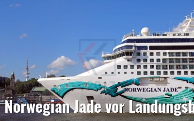 Norwegian Jade vor Landungsbrücken Hamburg 04.06.2017