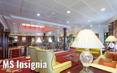 MS Insignia