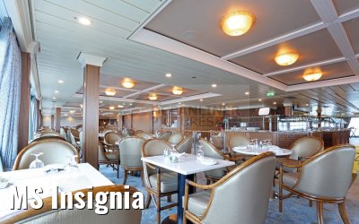 MS Insignia