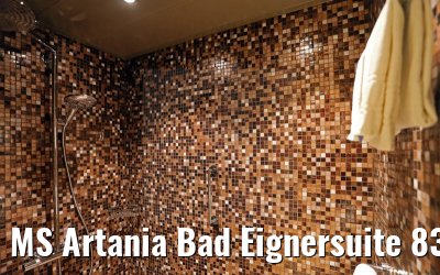 MS Artania Bad Eignersuite 8339 am 09.12.2014