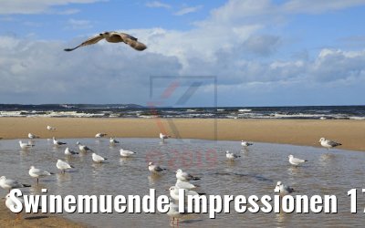 Swinemuende Impressionen 17.09.2019