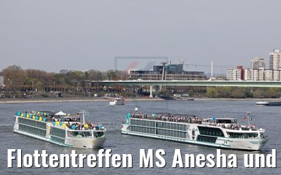 Flottentreffen MS Anesha und MS Asara 31.03.2017 Köln