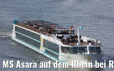 MS Asara auf dem Rhein bei Rodenkirchen 30.03.2017