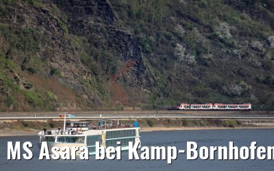 MS Asara bei Kamp-Bornhofen 01.04.2017
