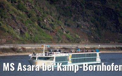 MS Asara bei Kamp-Bornhofen 01.04.2017