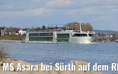 MS Asara bei Sürth auf dem Rhein 30.03.2017