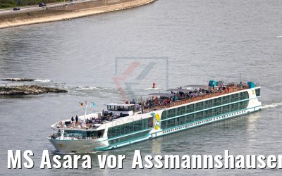 MS Asara vor Assmannshausen 01.04.2017