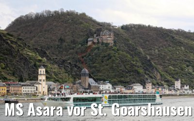 MS Asara vor St. Goarshausen 01.04.2017