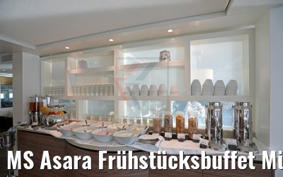 MS Asara Frühstücksbuffet Müslibereich 29.03.2017