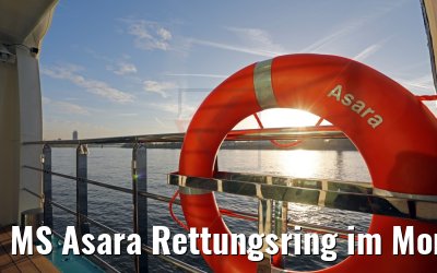 MS Asara Rettungsring im Morgenlicht 29.03.2017
