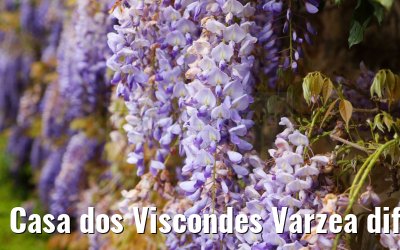 Casa dos Viscondes Varzea different impressions 21.04.2025