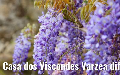 Casa dos Viscondes Varzea different impressions 21.04.2025