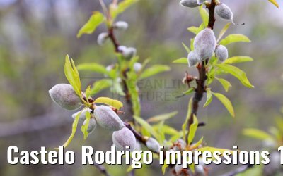 Castelo Rodrigo impressions 19.04.2025