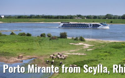 Porto Mirante from Scylla, Rhine river 14.05.2024