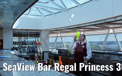 SeaView Bar Regal Princess 30.04.2015