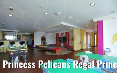 Princess Pelicans Regal Princess 30.04.2015