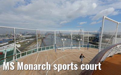 MS Monarch sports court