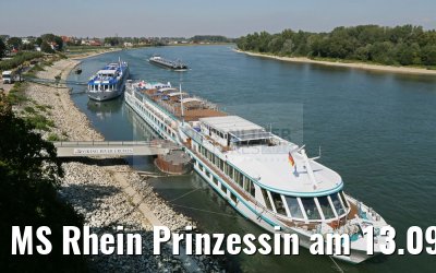 MS Rhein Prinzessin am 13.09.2016 in Speyer